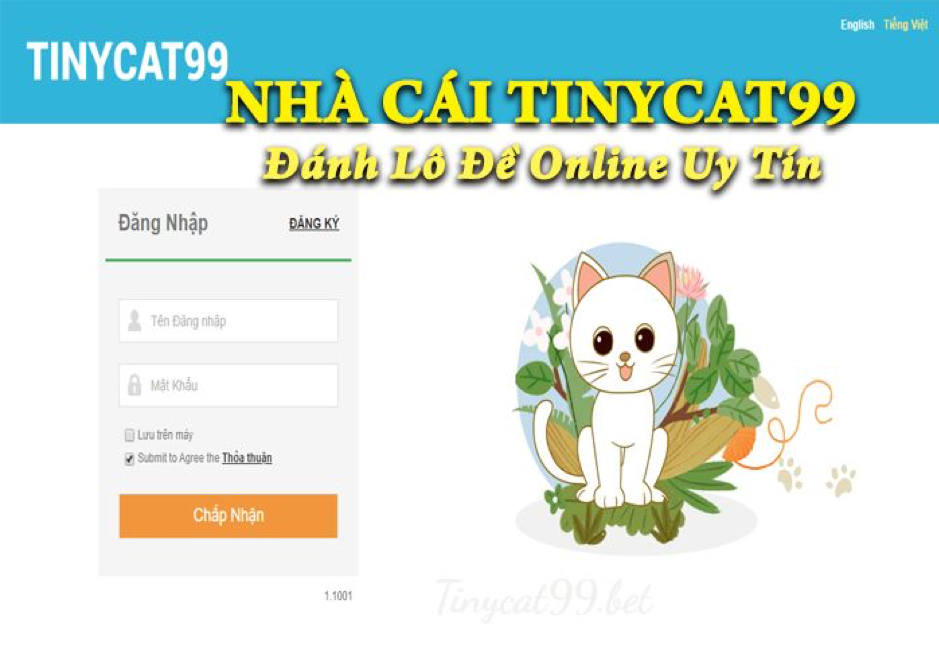 Tinycat99 có hợp pháp không