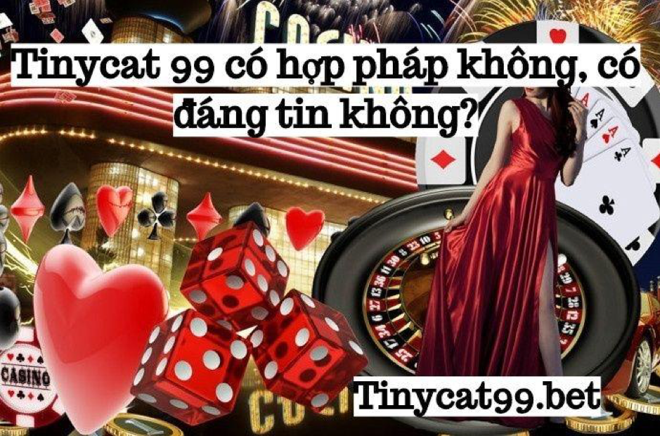 Tinycat99 có hợp pháp không