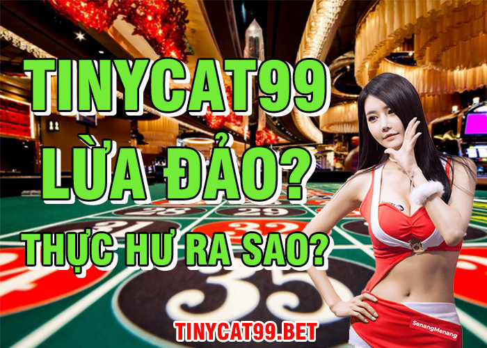 tinycat99 lừa đảo