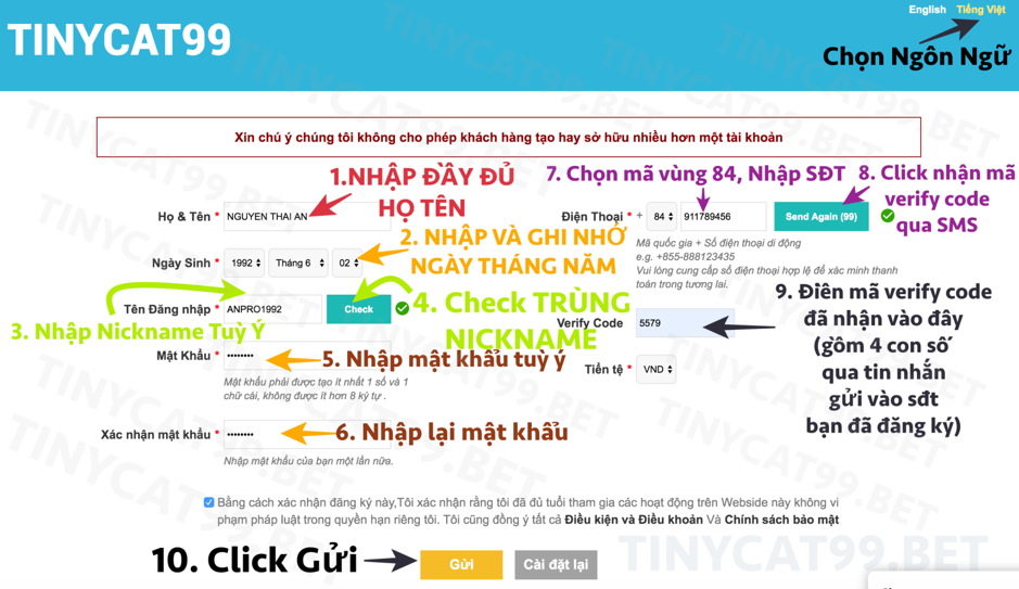 Hướng dẫn đăng ký thông tin trên tinycat99